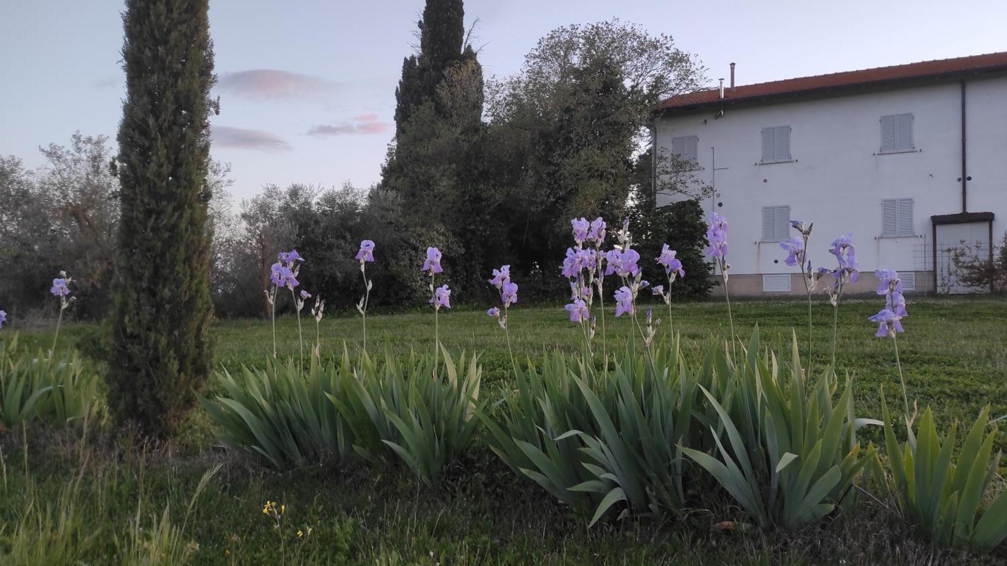 Borgo Iris Villa Pietraia Exteriör bild